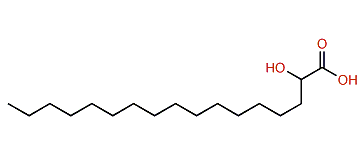 2-Hydroxyheptadecanoic acid